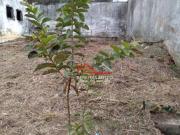 Terreno à venda, 320 m² por R$ 330.000,00 Jardim Russo...