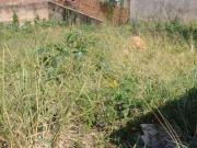 Terreno à venda, 333 m² Jardim São Jorge Valinhos/SP