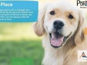 Terreno à venda, 333 m² por R$ 420.000,00 Betel Paulínia/SP