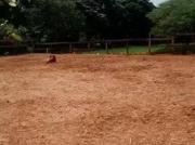 Terreno à venda, 3577 m² por R$ 2.100.000,00 Vila...