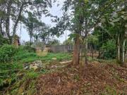 Terreno à venda, 360 m² por R$ 150.000,00 Massaguaçu...