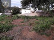 Terreno à venda, 360 m² por R$ 96.000,00 Vila Elsa Viamão/RS