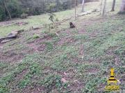 Terreno à venda, 4500 m² por R$ 220.000 Terra Preta...