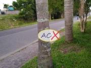 Terreno à venda, 450 m² por R$ 495.000,00 Fanny Curitiba/PR