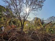 Terreno à venda, 480 m² por R$ 400.000,00 Jardim dos...