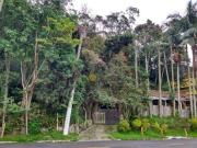 Terreno à venda, 5000 m² por R$ 1.100.000,00 Batistini...