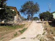 Terreno à venda, 5000 m² por R$ 449.000,00 Arruda Colombo/PR Terreno à venda, 5000 m² por R$ 449.000,00 Arruda Colombo/PR