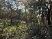 Terreno à venda, 5000 m² por R$ 450.000 Mairiporã...