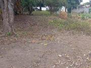 Terreno à venda, 500 m² por R$ 150.000,00 Campinas...