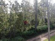 Terreno à venda, 500 m² por R$ 318.000 Massaguaçu...