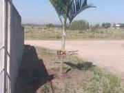 Terreno à venda, 532 m² por R$ 255.000,00 Loteamento...