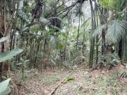 Terreno à venda, 5910 m² por R$ 129.000,00 Rio Sagrado...