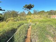 Terreno à venda, 649 m² por R$ 350.000,00 Paloma Colombo/PR