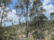 Terreno à venda, 695 m² por R$ 269.000,00 Roseira...