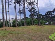Terreno à venda, 700 m² por R$ 2.369.000,00 Santa...