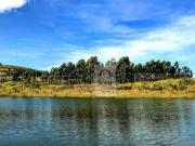 Terreno à venda, 729 m² por R$ 350.000,00 Campos do...