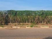 Terreno à venda, 7349 m² por R$ 7.800.000,00 Jardim...