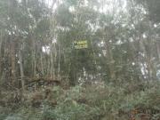 Terreno à venda, 750 m² por R$ 150.000,00 Ressaca Cotia/SP