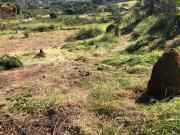Terreno à venda, 8000 m² por R$ 2.400.000,00 Condomínio...