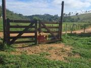 Terreno à venda, 840 m² por R$ 87.000,00 Pinho Jacareí/SP