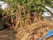 Terreno à venda, 901 m² por R$ 4.000.000,00 Vila Guarani...