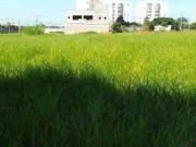 Terreno à venda, 942 m² por R$ 1.800.000,00 Jardim...