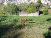 Terreno à venda, Acompanha projeto maravilhoso 523 m²...