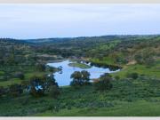 Terreno à venda Almodôvar, Beja
