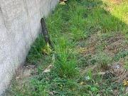 Terreno à venda Alto do Cardoso, Pindamonhangaba SP