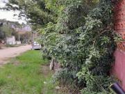 Terreno a venda apto para construção!