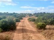 Terreno à venda Barao Sao Joao, Lagos, Faro