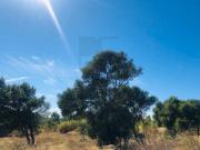Terreno à venda Bicesse, Cascais, Lisboa