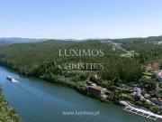 Terreno à venda Canedo, Aveiro