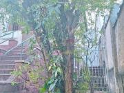 Terreno à venda Casa Verde Travessa da Braz Leme