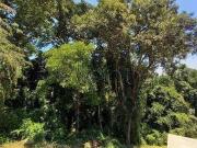 Terreno à venda com 800 m² no Condomínio Fazenda São...