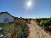 Terreno a venda com PIP aprovado para 8 Quintas, em...