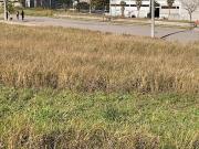 Terreno a Venda Comercial Linc Sorocaba