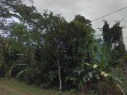 TERRENO A VENDA DE 513,40 M² EM UBATUBA SP / ITAMAMBUCA