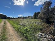 Terreno à venda em Águeda
