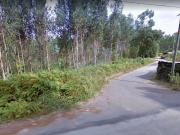 Terreno à venda em Albergaria a Velha