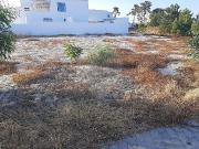 Terreno à venda em Alcácer do Sal