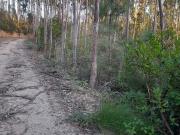 Terreno à venda em Alcobaça