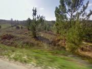 Terreno à venda em Alcobaça