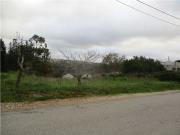 Terreno à venda em Alcobaça