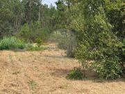 Terreno à venda em Alcobaça