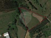 Terreno à venda em Alcobaça