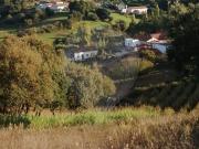 Terreno à venda em Alcobaça