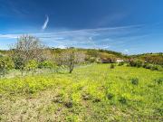 Terreno à venda em Alcouce