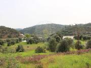 Terreno à venda em Alcoutim