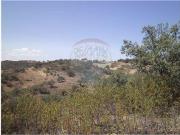 Terreno à venda em Alcoutim